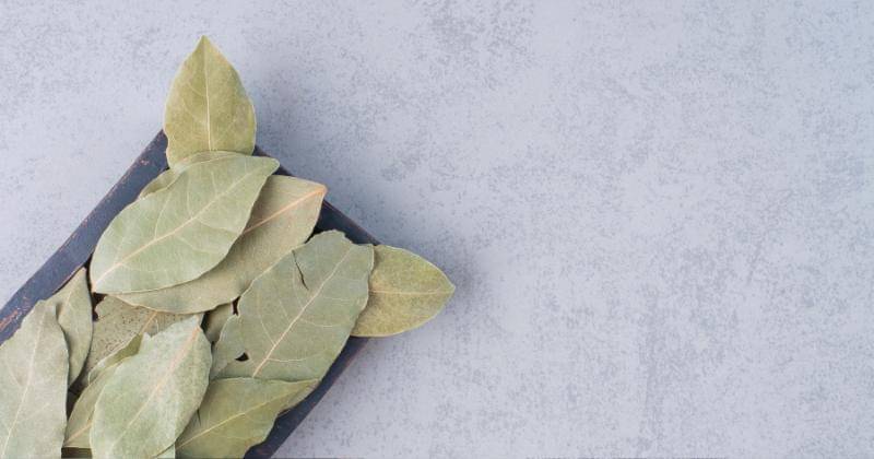 Freepik/azerbaijan_stockers